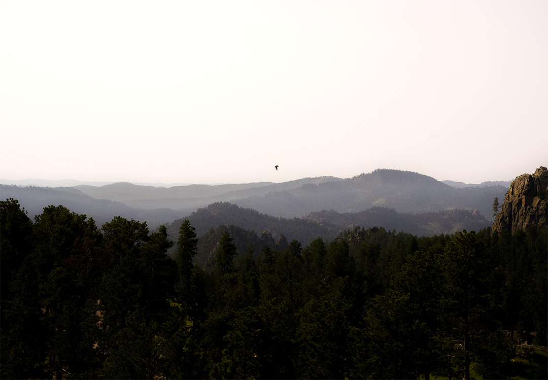 Black hills-1