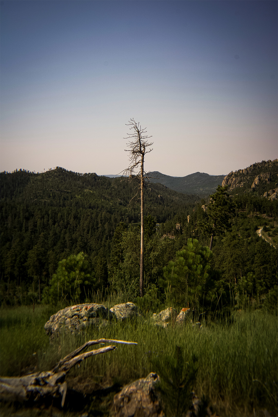 Black hills-9