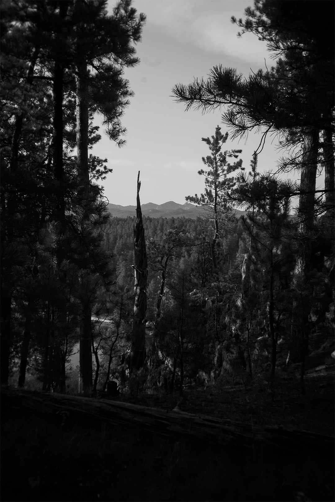 New black hills-26