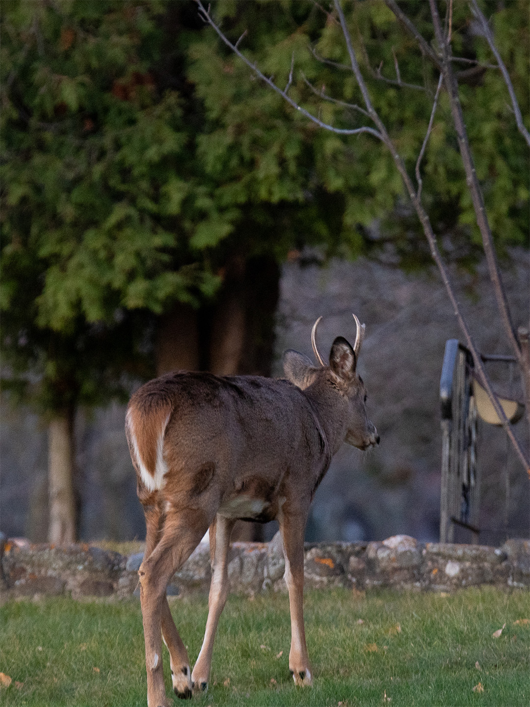 Two harbors-169